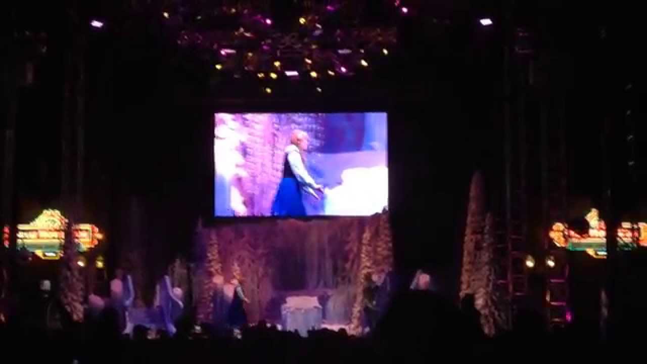 Disney World 2015 Frozen Fireworks