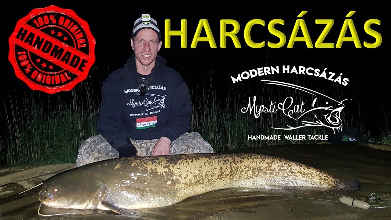 Hegyi Harcsázás, Harcsahorgászat (Mysticat Team Modern Harcsázás)