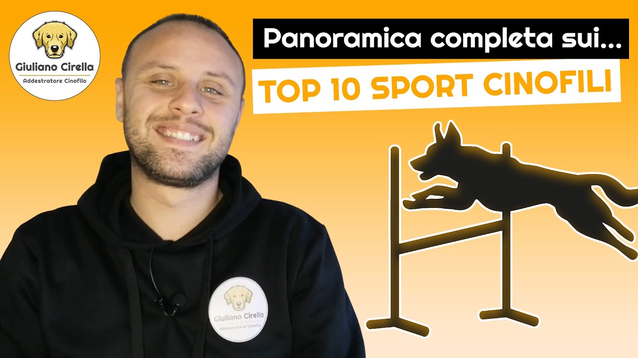 🐶 Top 10 Sport Cinofili e Attività che puoi Fare con il tuo Cane | Giuliano Addestratore