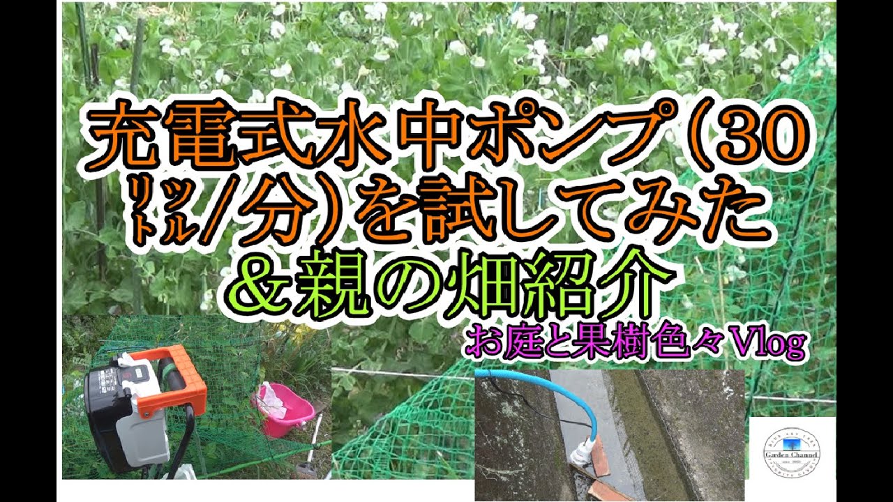【電源なしの畑】バッテリー式水中ポンプ（最大流量毎分30㍑）を試す！　　清水用のポンプによる用水路からの水まきは上手くいくのか。後半に親の畑の紹介あります！