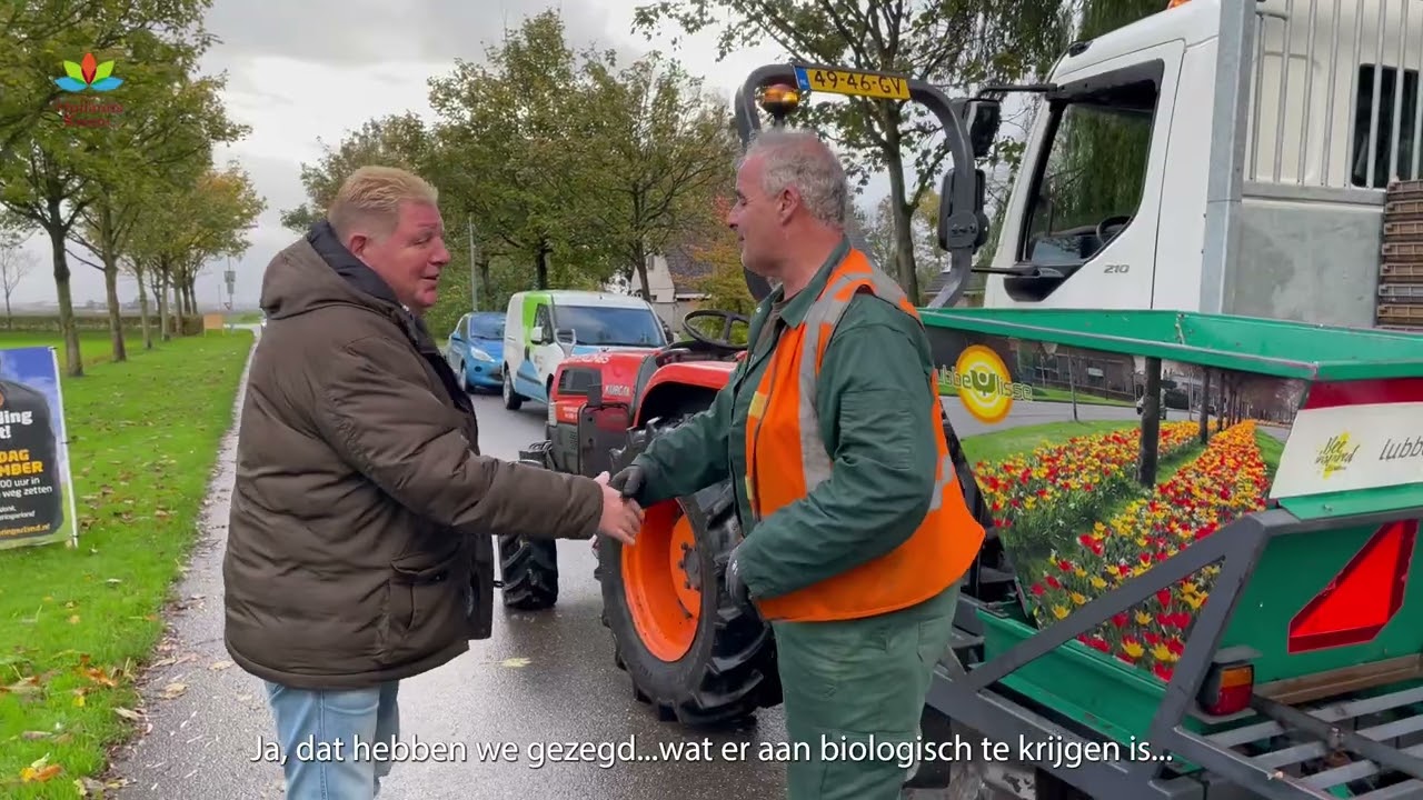 Bloembollen de grond in om dorpen in voorjaar extra kleur te geven