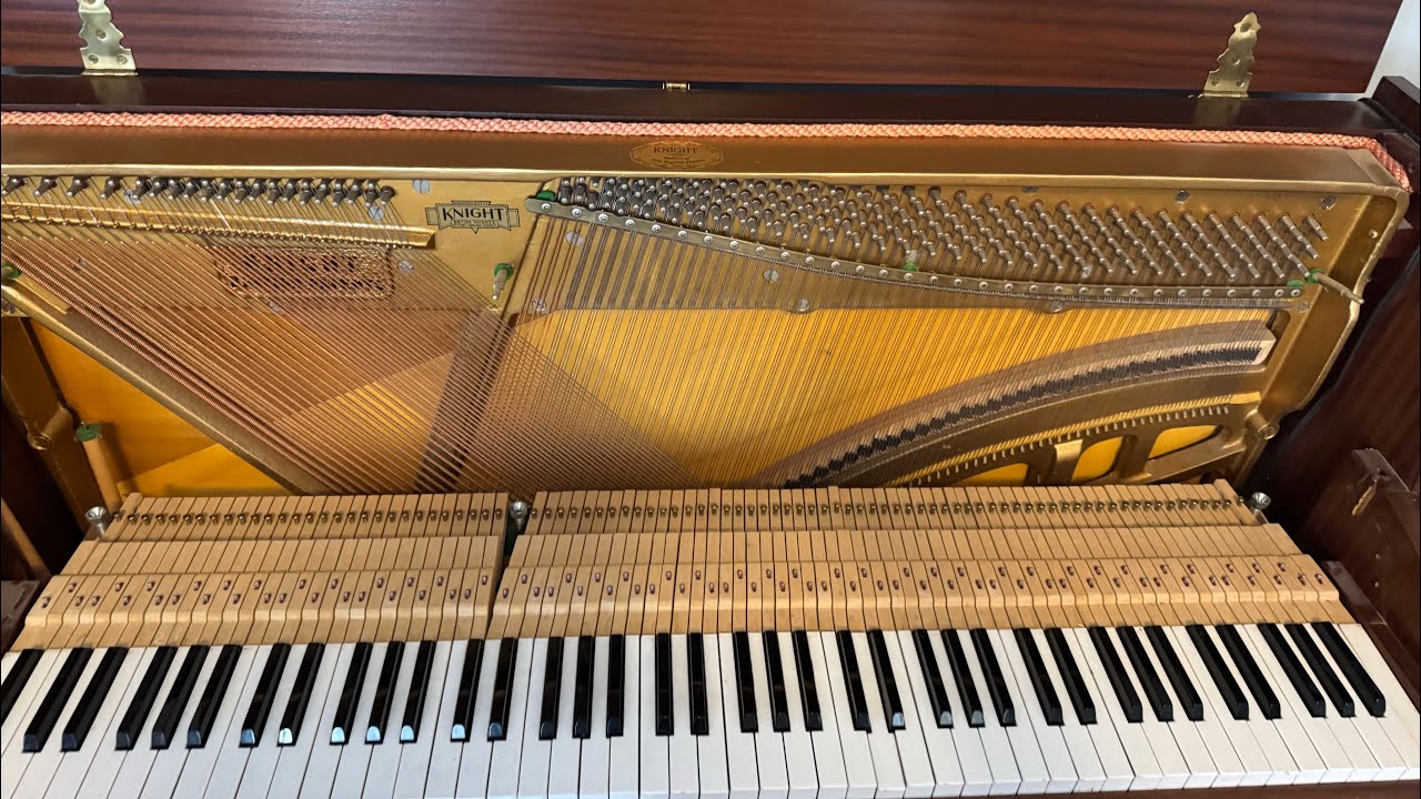 Playing piano! (On chrome music lab) #music #piano song