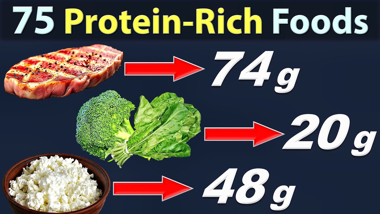 75 High Protein Foods & Dishes – Animal, Vegan, Vegetarian – How Much Protein You Can Get