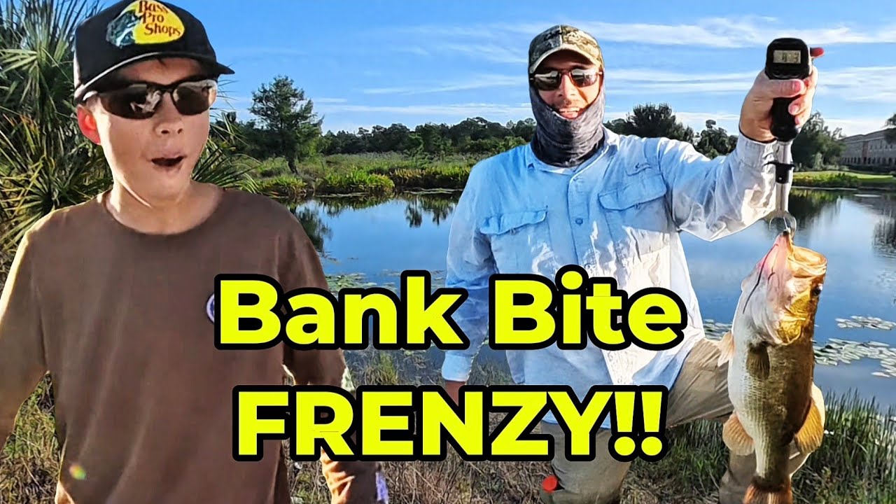 Masterful Bank Fishing Produces Numbers and GIANTS! Compilation Video 🎣