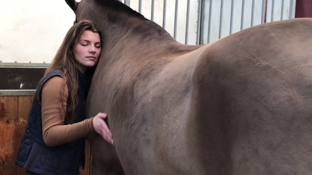 Cheval Passion Avignon 2018