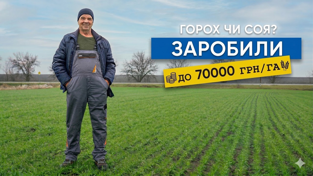 Вирощуємо зелений та жовтий горох, це рентабельніше ніж соя!