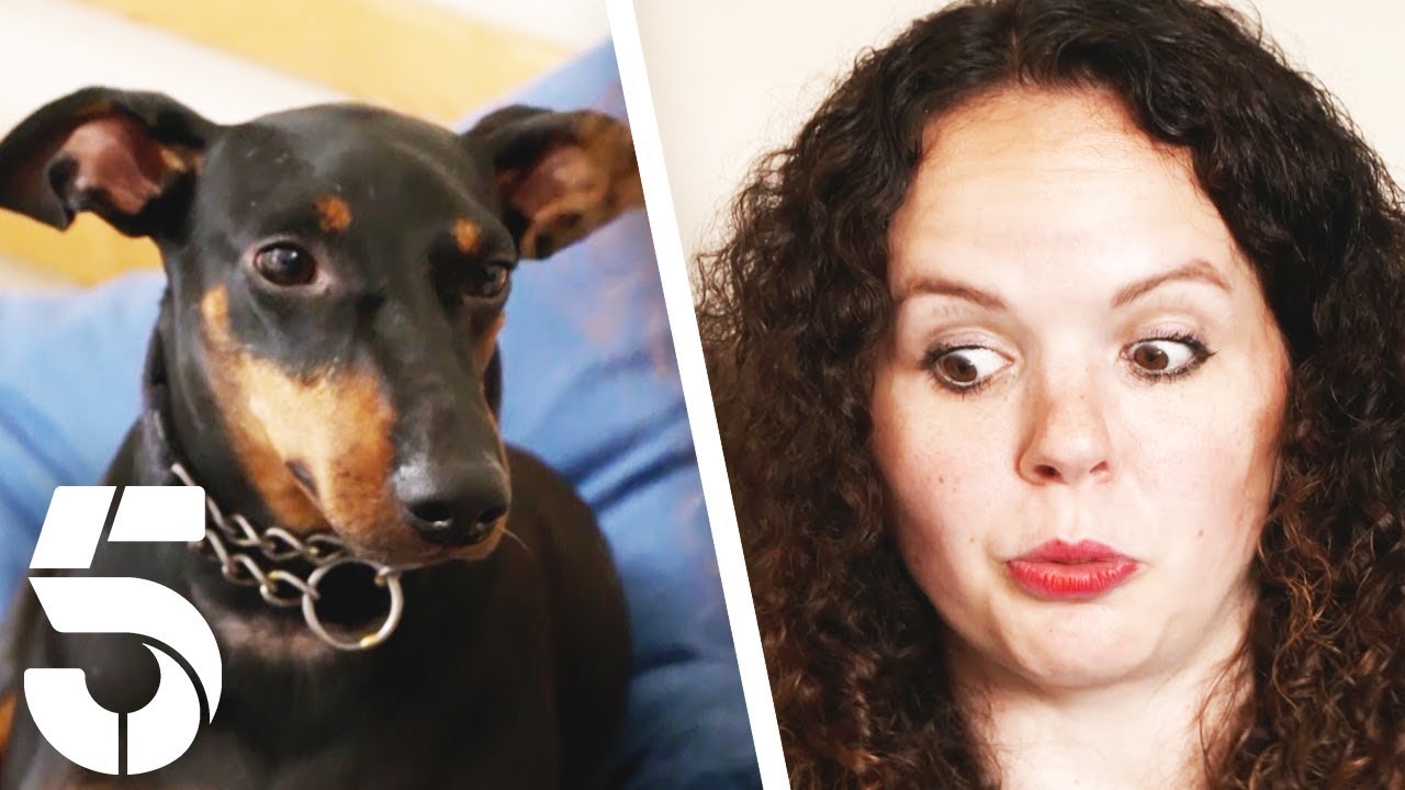 My Dog Won't Stop Sharing My Bed With Me | Dogs Behaving (Very) Badly | Channel 5