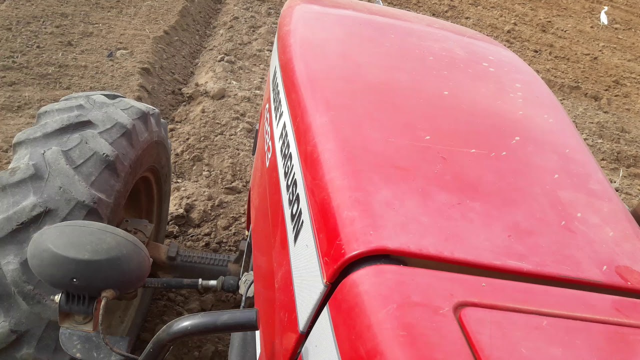 Massey Ferguson 4283 na rotativa