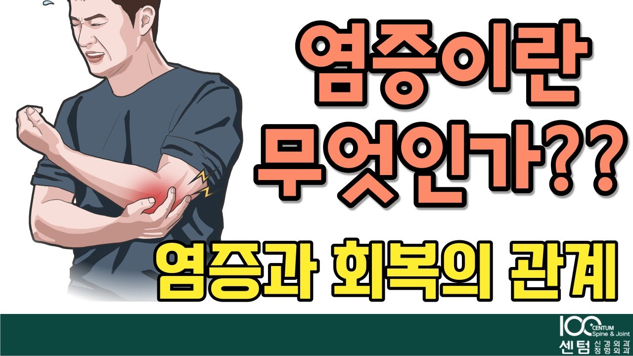 염증이란 무엇일까?? 회복에서는 꼭 필요한 염증반응/회복과염증과의 관계는??