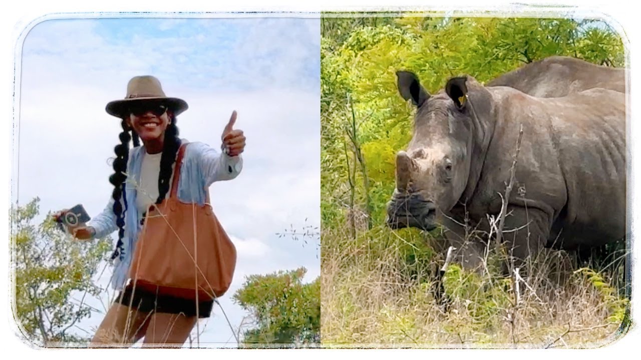 Zimbabwe Vlog 🌿 Rhino Safari Holiday in Matopos