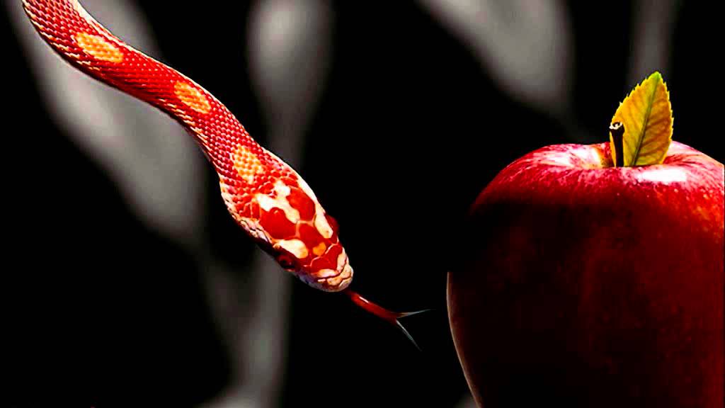 TaKe Me aWaY ~CoTToNBeLLY ReMiX~