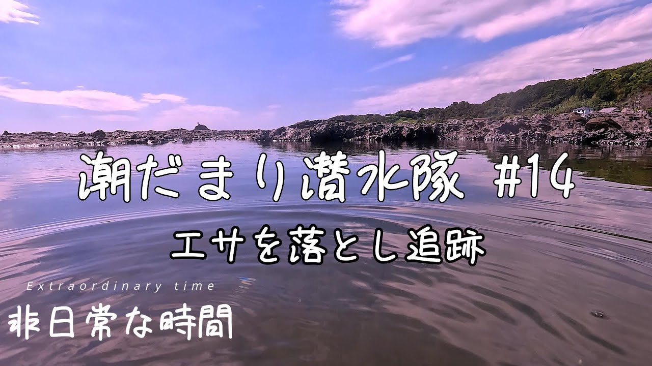 潮だまり潜水隊 #14
