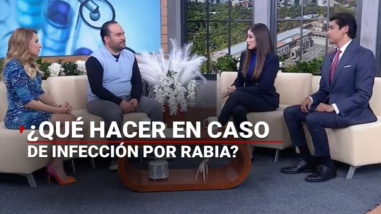 #ATENCIÓN | Experto explica cómo actuar en caso de infección por rabia