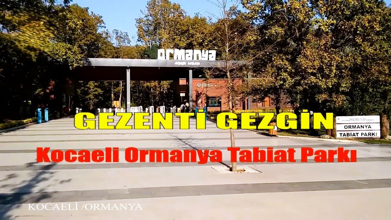 Ormanya | Ücretsiz Piknik/Karavan Kamp Alanı| KOCAELİ ᵀᴿ