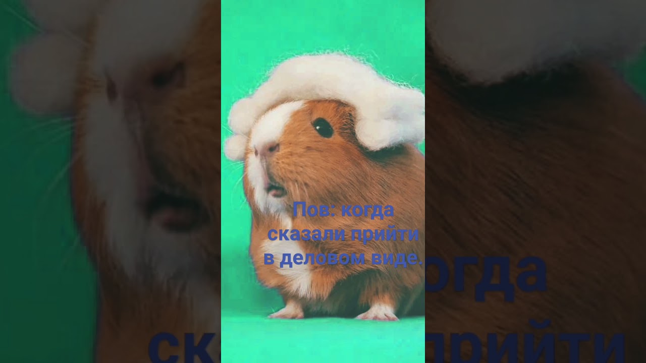 когда сказали прийти в деловом виде.
