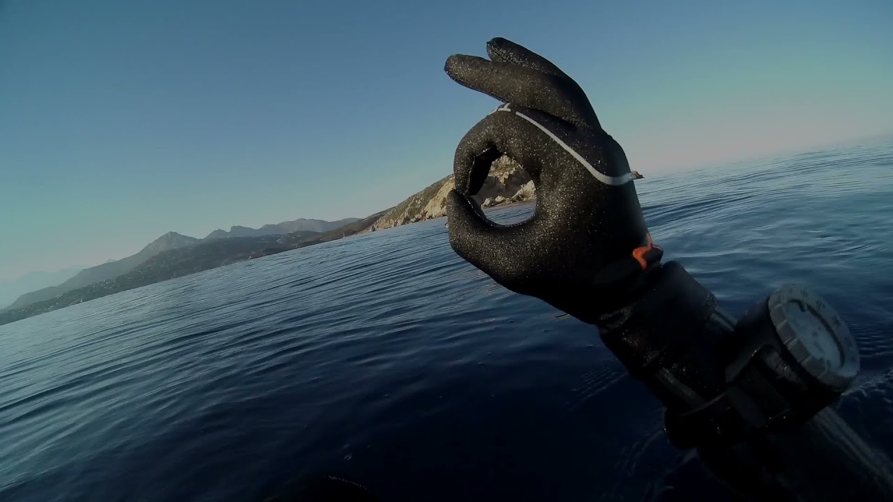 Diving Calvi A Piaghja