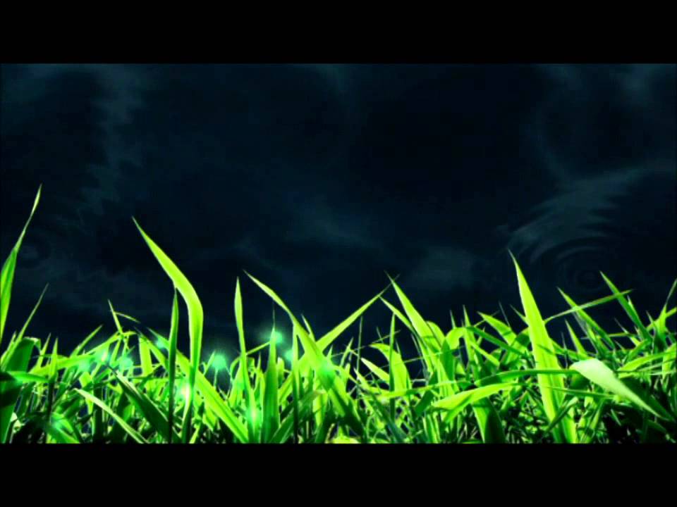 Les emocions a trav&eacute;s de la m&uacute;sica