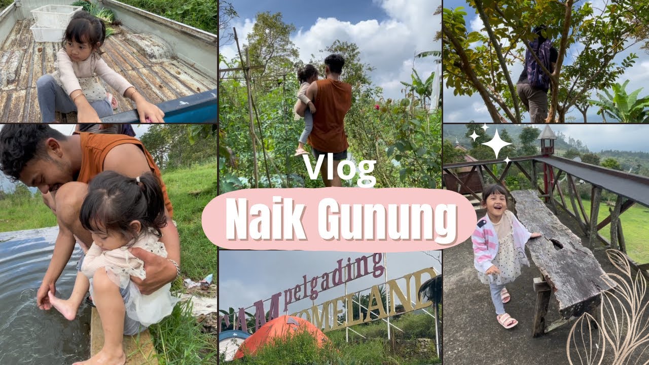 SERU BANGET !! NAIK GUNUNG ⛰️| PANEN SAYUR