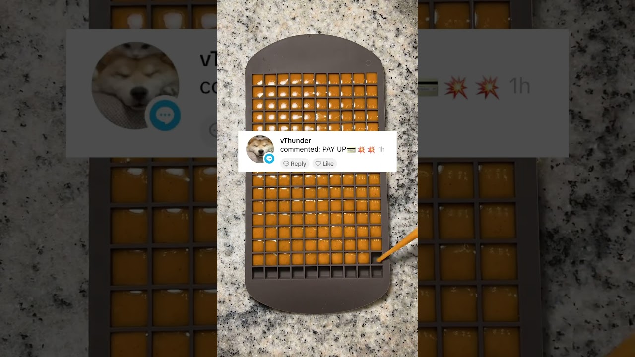 I&rsquo;m going to eat live brine shrimp AGAIN