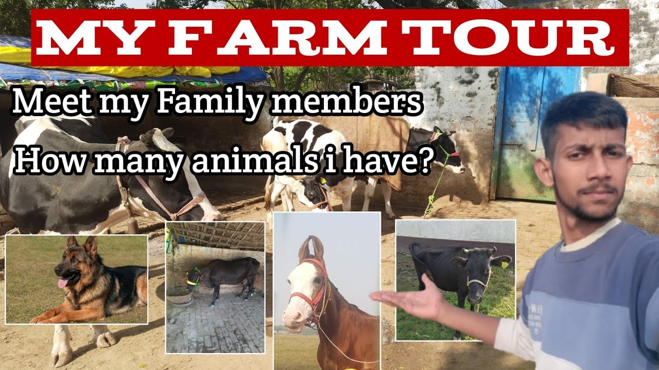 मिलिए मेरे फार्म के सभी सदस्यो से | Bhushan Dairy Farm 