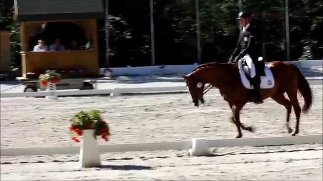 Mateusz Sarnecki na Ebonicie, Mistrzostwa Europy Junior&oacute;w wkkw, Biały B&oacute;r 2015, ujeżdżenie