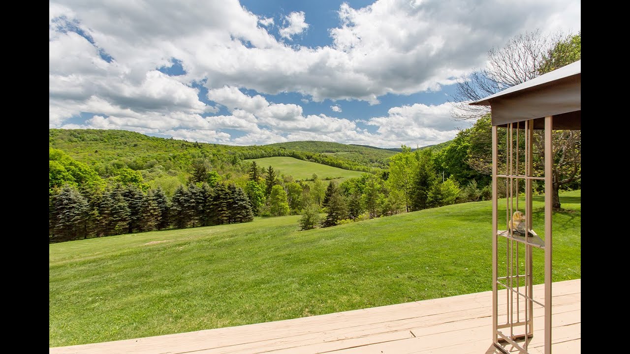 Breathtaking CATSKILL MTN VIEWS - 28 acres - #35905
