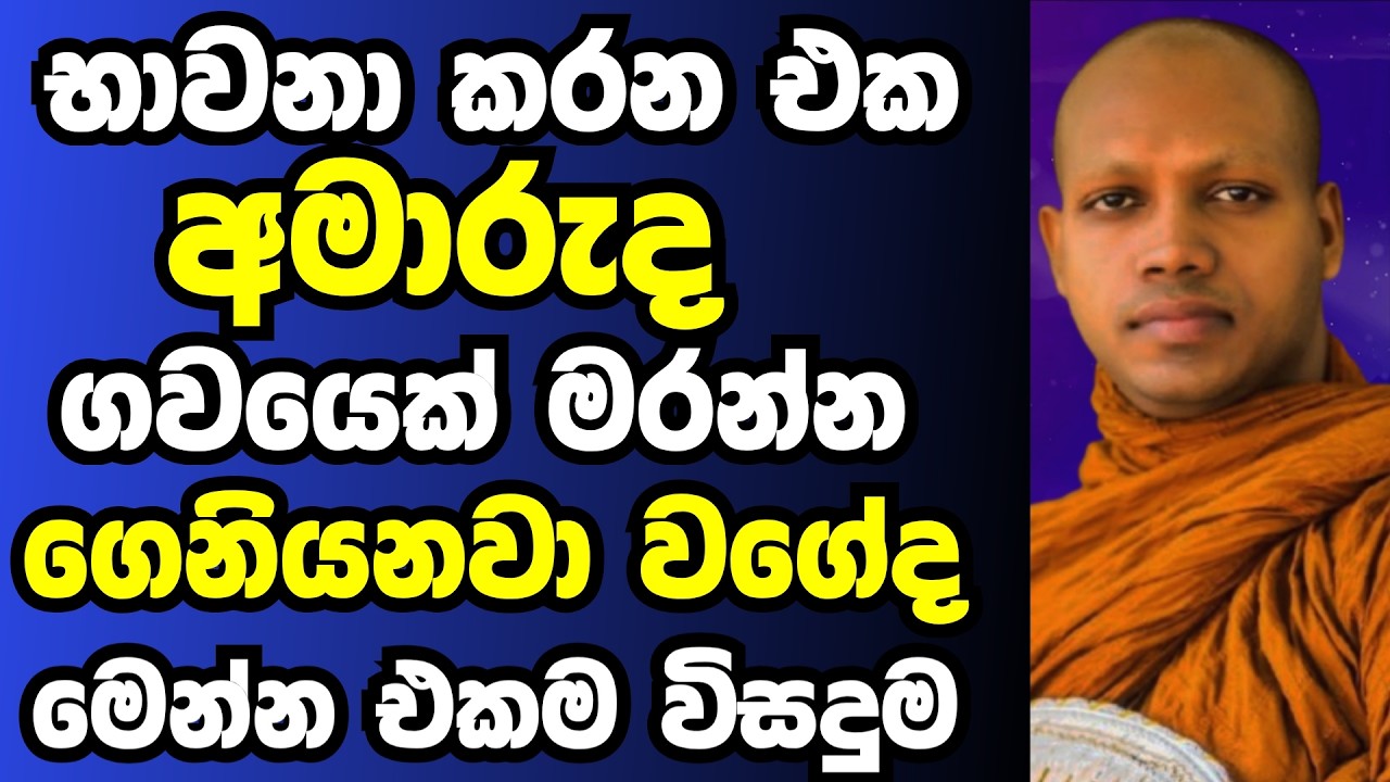 භාවනා කරන එක අමාරුද ගව‍යෙක් මරන්න ගෙනියනවා වගේද මෙන්න විසදුම | Ven hasalaka seelawimala thero bana