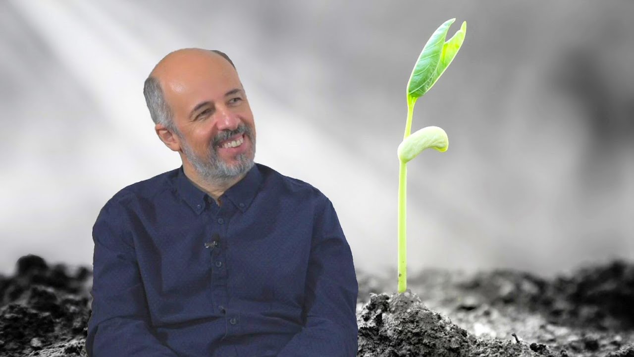 Arhetipurile vindecării - răbdarea - dr. Teodor Coldea (Matei Georgescu - MaGtv)