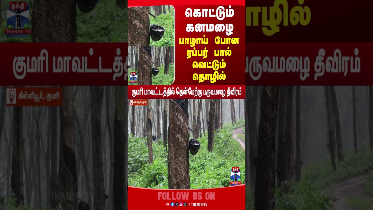 Kannyakumari | Rubber Tree | Heavy Rain |