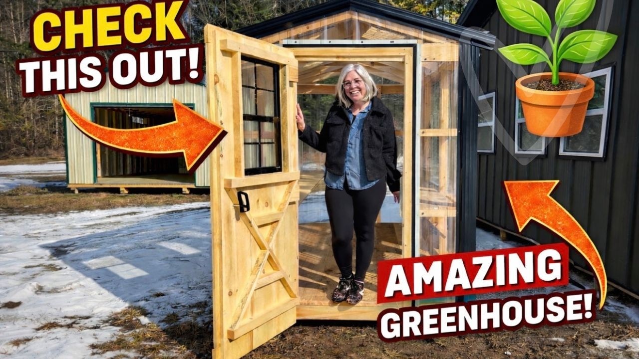 Покупки в крошечной теплице / Брюссельская капуста с добавками / Низкоуглеводные блюда для похуде...