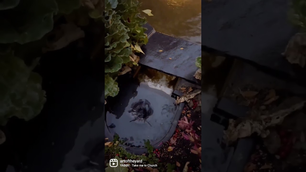 Contemporary Water feature in Englewood Colorado. Nothing better then some reverse skimmer action