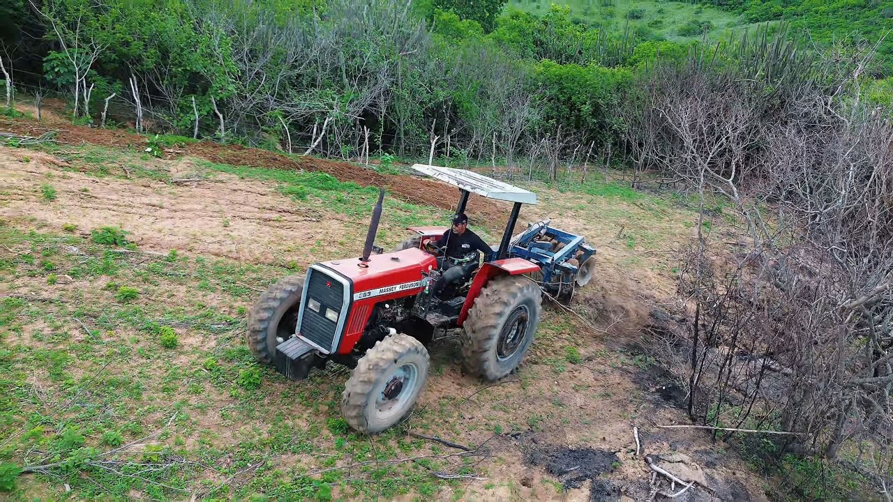 Trator MF283 traçado gradeando a terra na serra de Araruna pb e divisão com São Bento em