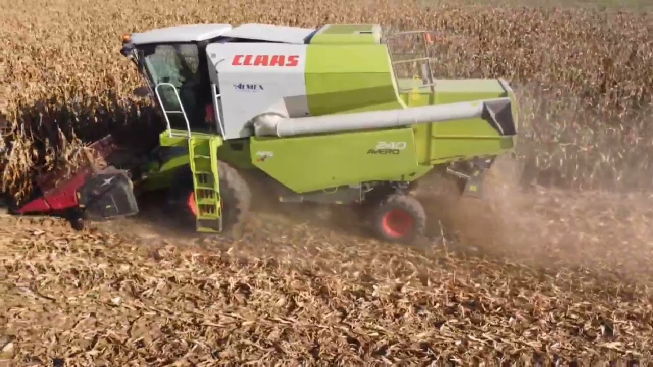 Žetva kukuruza 2021. Corn harvest Claas Avero 240 & Arion 640 i Caprollo tandem prikolica.