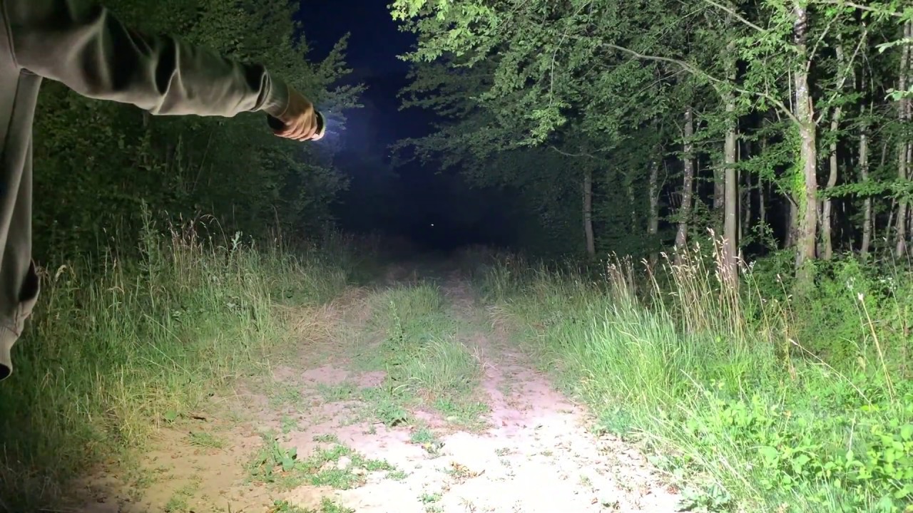 Acebeam X80-GT vs Thrunite TN40