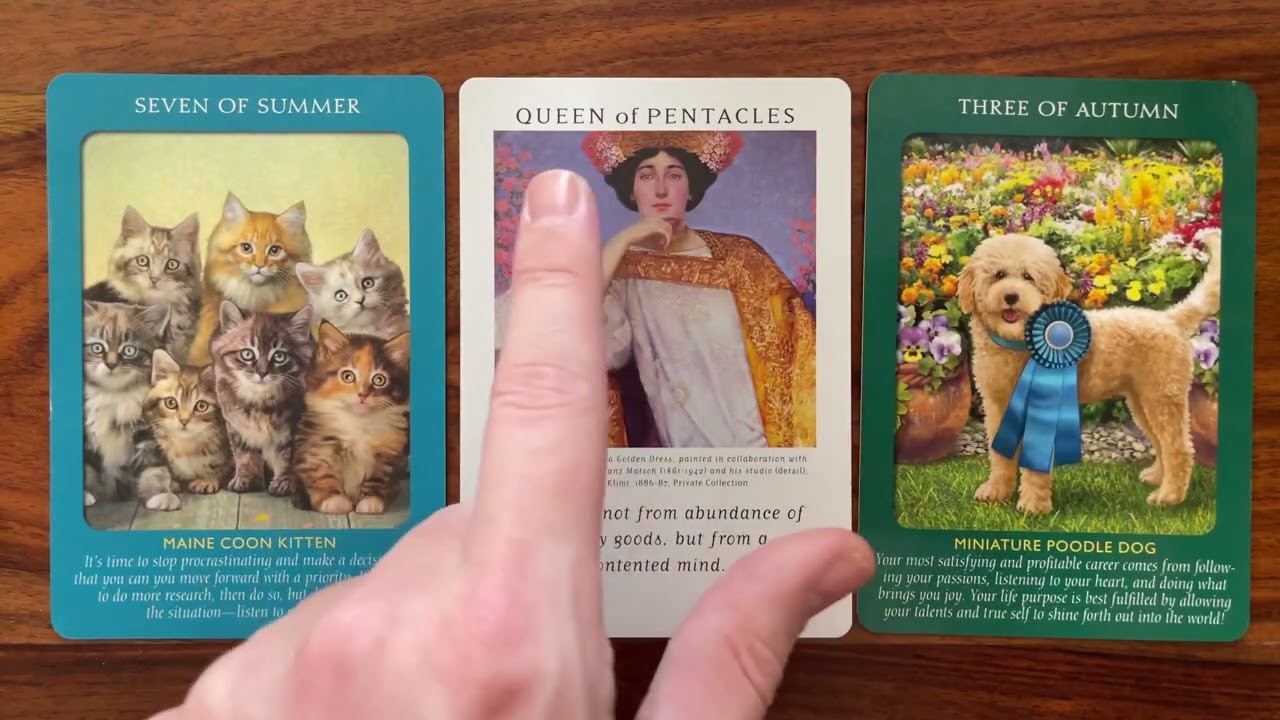 Change is possible 6 September 2022 Your Daily Tarot Reading with Gregory Scott