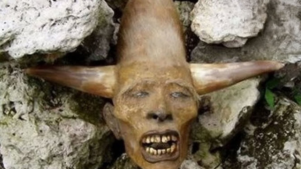 Top 10 Strange Fossils That Shouldn’t Exist in Our Timeline - Part 2