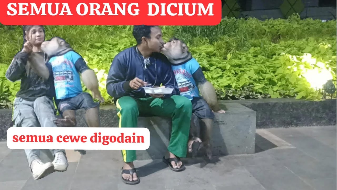 Ajak Monyet Beruk Bastian makan pancong di GOR Bekasi! Bastian genit semua cewe di rayu!