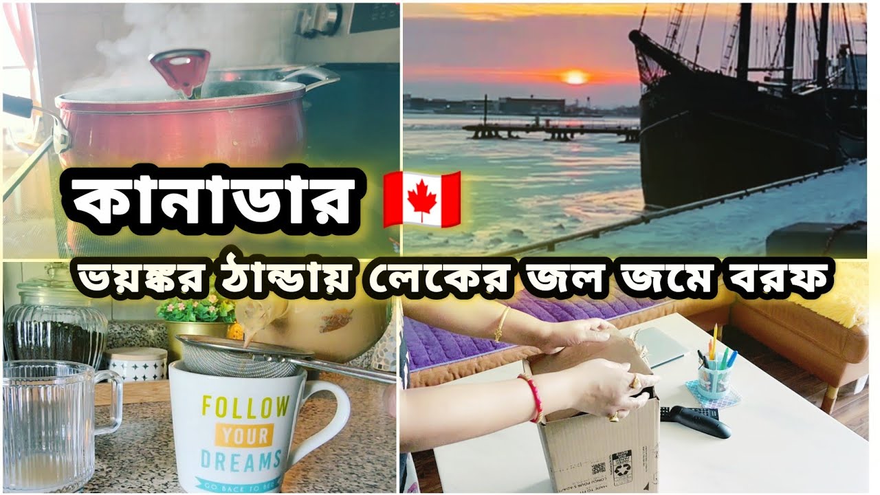 কানাডার ভয়ঙ্কর ঠান্ডায় সমস্ত হ্রদের জল জমে শক্ত বরফ  || রান্নাঘরের জন্য কিনলাম দরকারী একটা জিনিস 