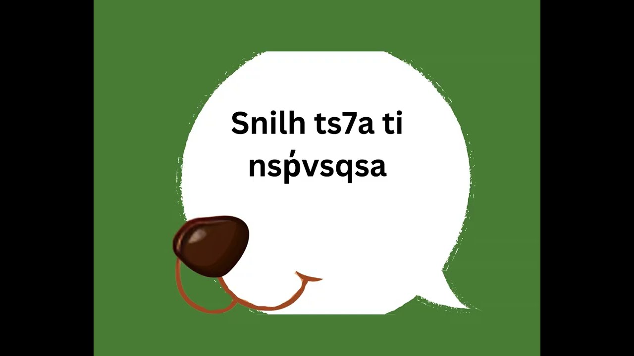 Swátkan? Tsilkst