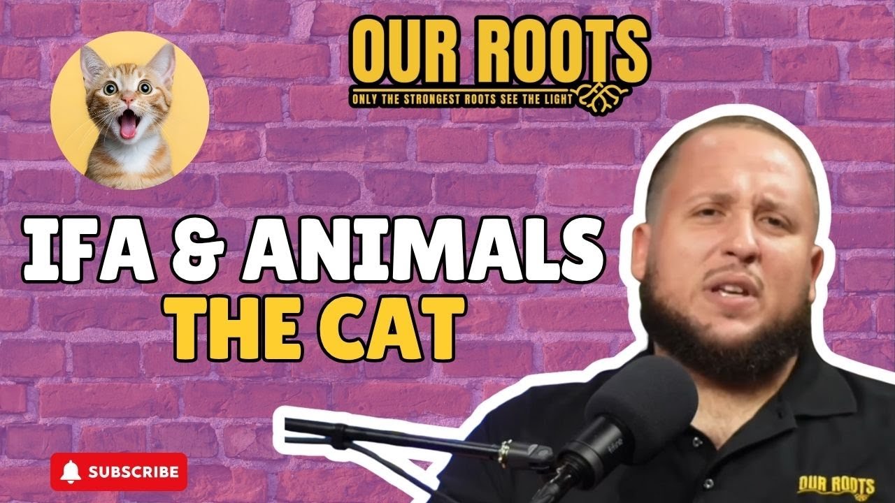 Ифа животные кошка