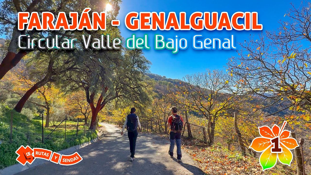 1 Faraján a Genalguacil | Circular Valle del Bajo Genal