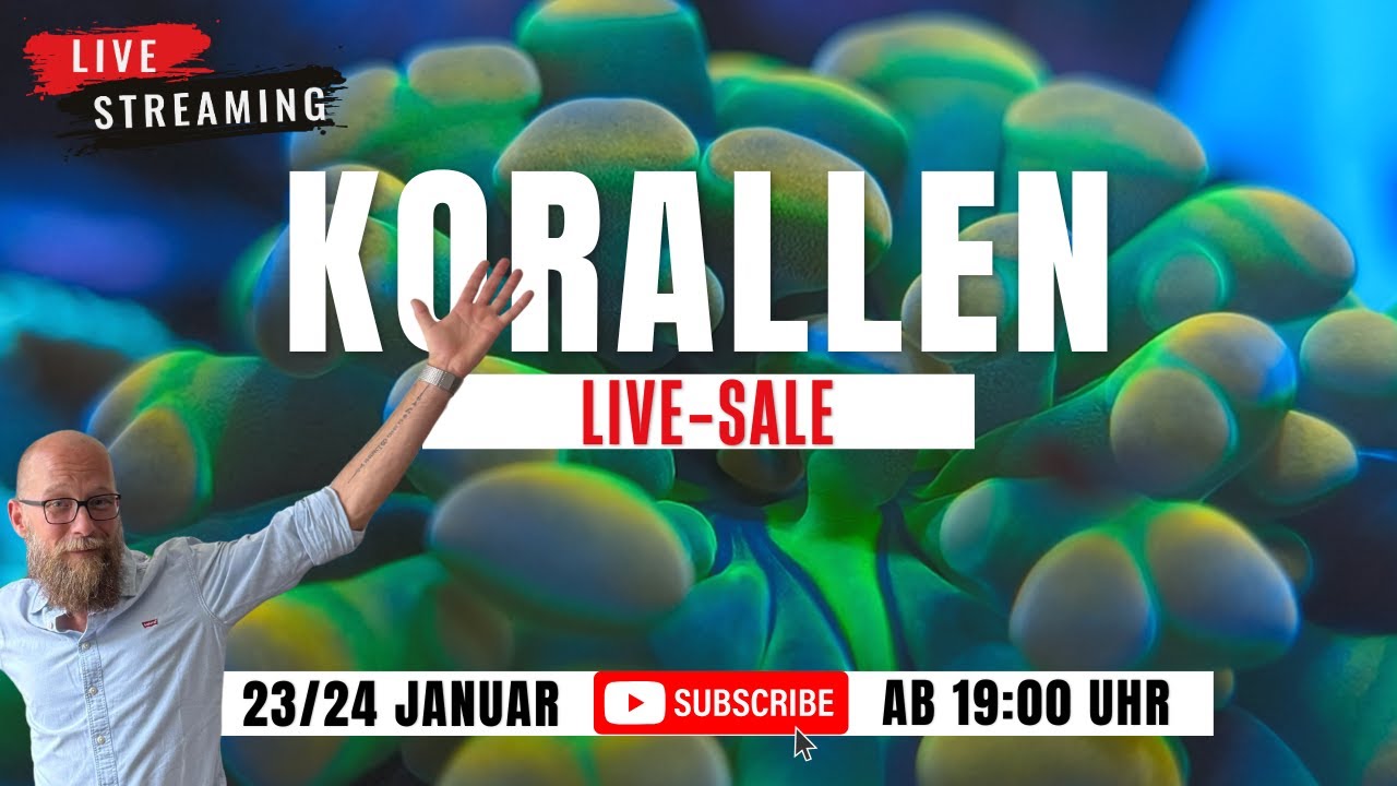 Korallen Live Sale 🔴 | Mega Auswahl für dein Riffaquarium | Jetzt live kaufen