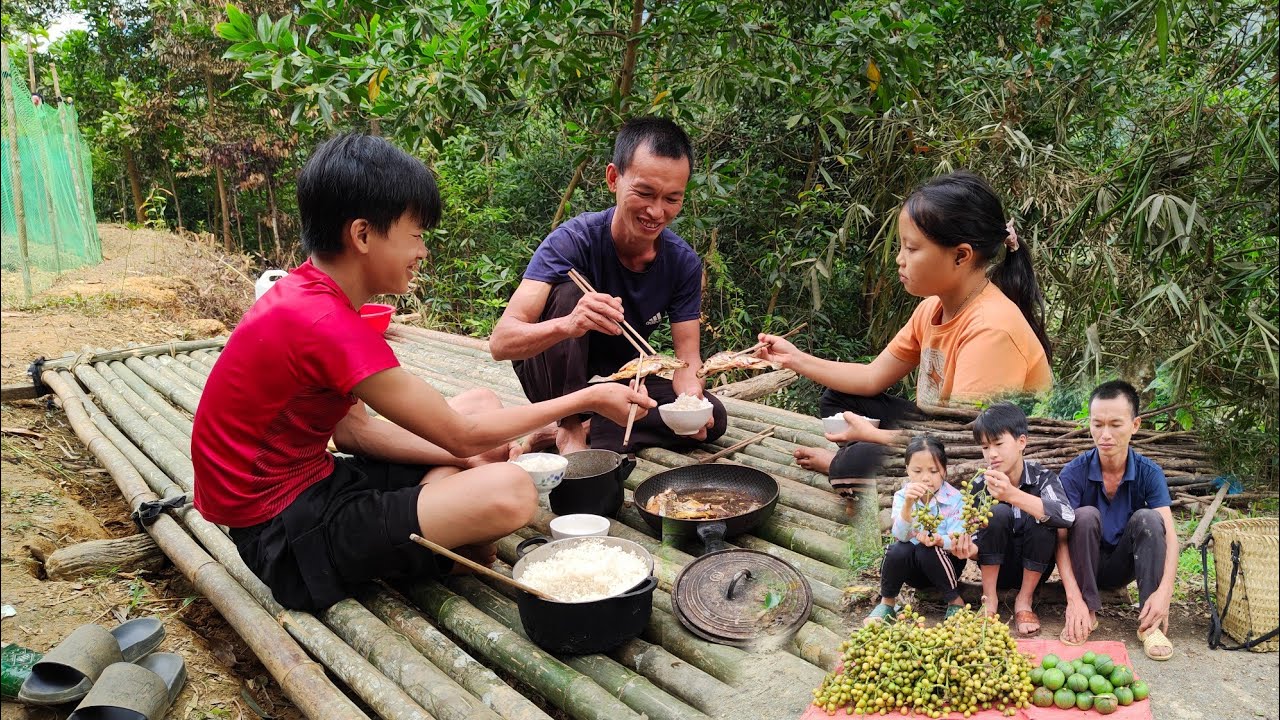 Full Video:Harvesting fruits, vegetables, bamboo floors, gardening - Building a farm | Ly Dinh Quang