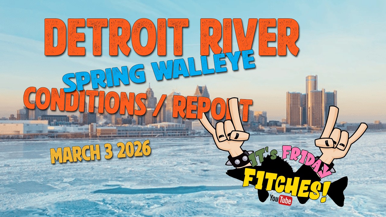 Обновленный отчет о состоянии водоема для ловли судака весной на реке Детройт, 3 марта 2026 г.