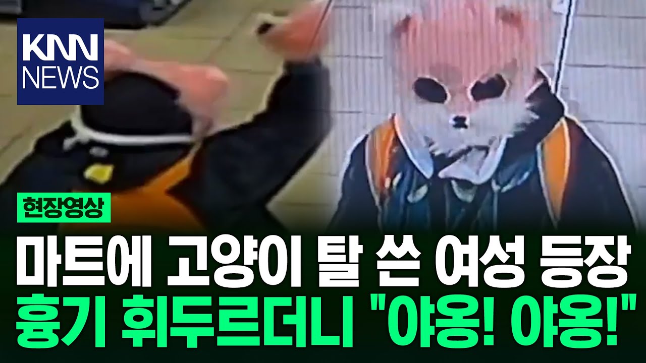 고양이 탈 쓰고 흉기 휘두르더니 