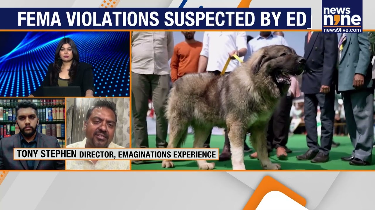 ₹50 Crore Wolfdog Was a Lie? Sathish&rsquo;s Luxury Pet Scam Exposed | ED Probe Latest