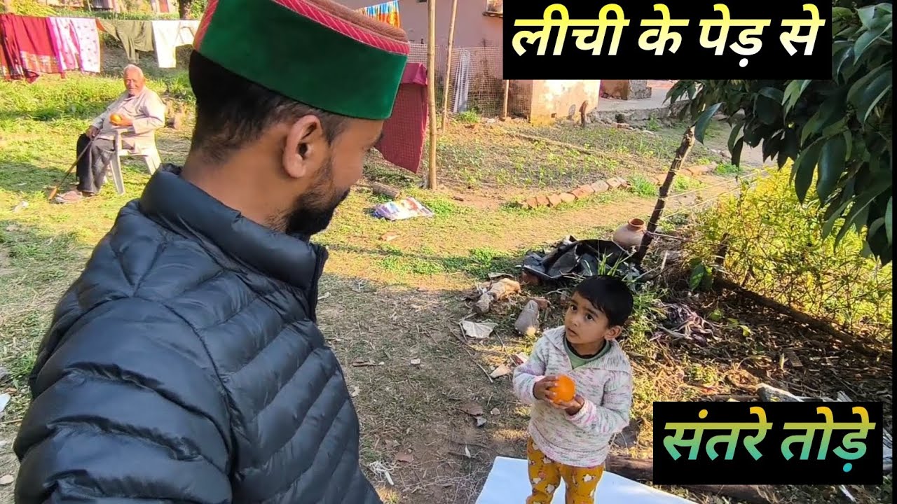बेटे के साथ मजाक 😂 लीची के पेड़ से तोड़े संतरे! | Funny Village Vlog | Prem Das Vlog
