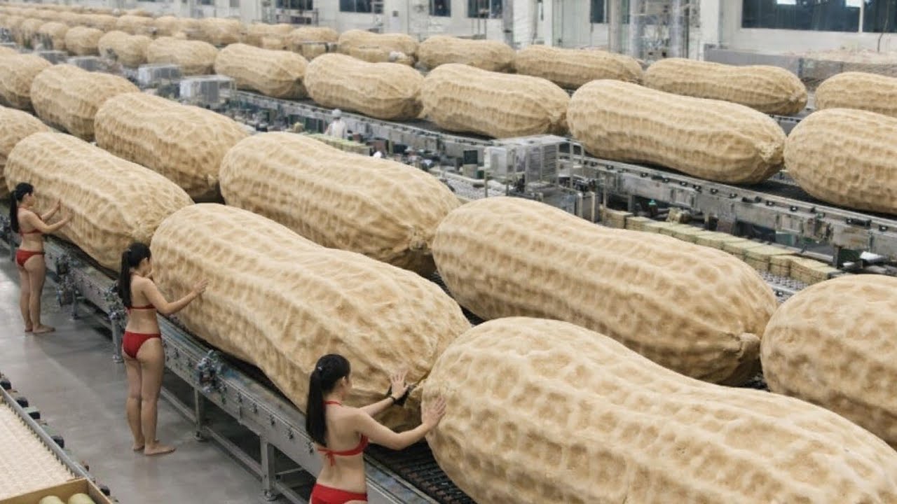 Inside the World&rsquo;s Largest Peanut Processing Factory &ndash; Millions of Peanuts Every Day
