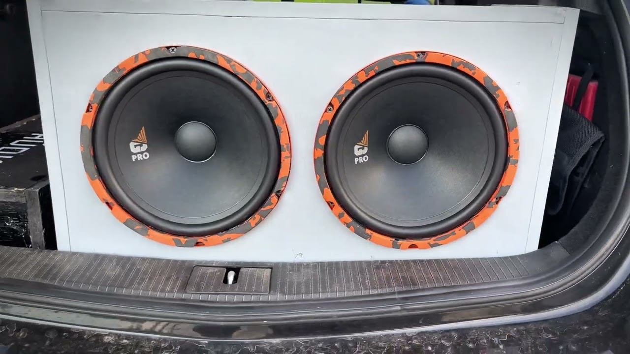 Лучшая Новинка! Gryphon Pro 250 Midbass от компании DL Audio