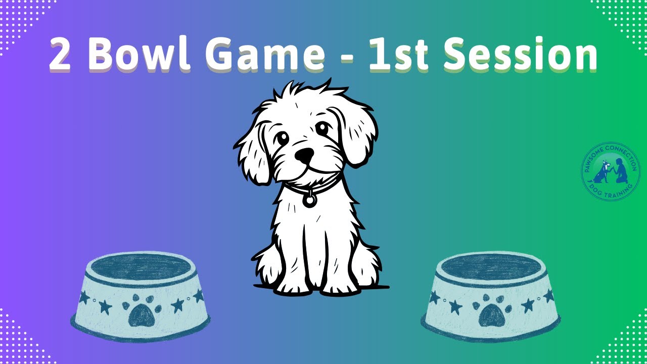 The 2 Bowl Game – Boost Your Dog’s Focus & Fun! – Step 1